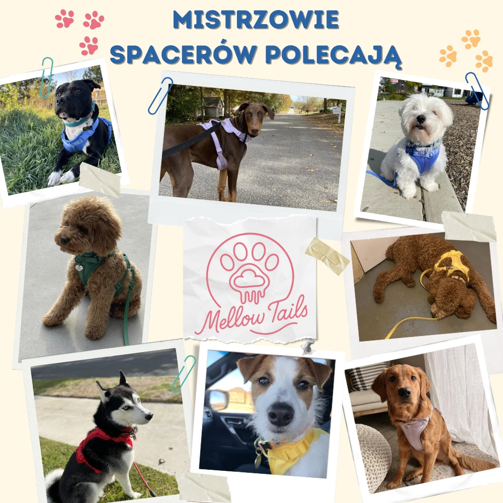 Zestaw na Spacer MellowTrail™