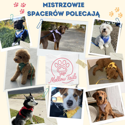 Zestaw na Spacer MellowTrail™