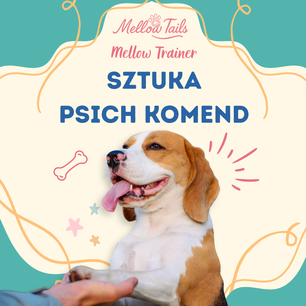 MellowTrainer™: Sztuka Psich Komend